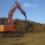 Biasi Legno - cataste di legname da cippatura - Jerzu Ogliastra Sardegna