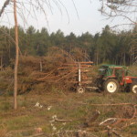 Biasi Legno cippato lavori estate