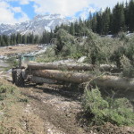 Tronchi trasporto con Skidder. Esbosco. Biasi Legno