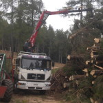 cippato lavori carico BiasiLegno