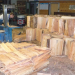 produzione scandole febbraio 2014